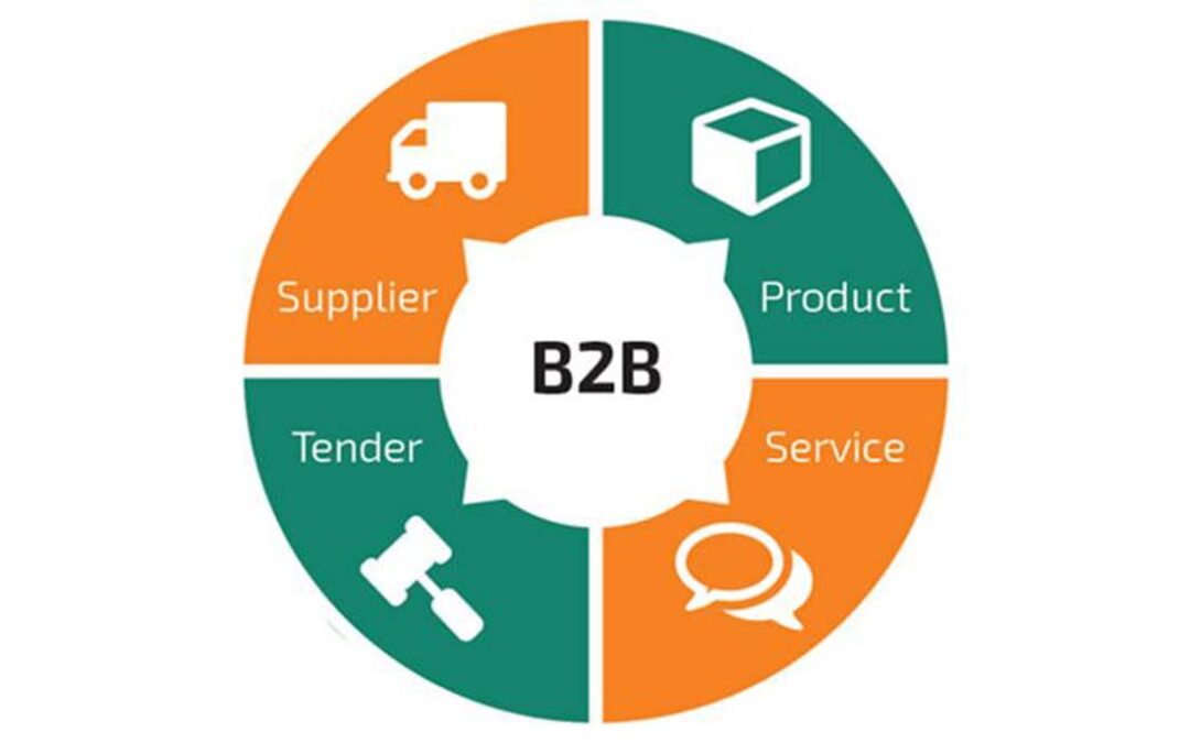 Elaboración portales WEB B2B