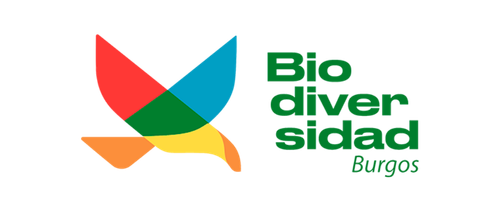 Diseño sin título (1)